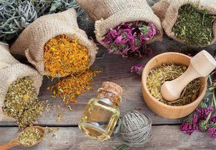 درمان کبد چرب با گیاهان دارویی