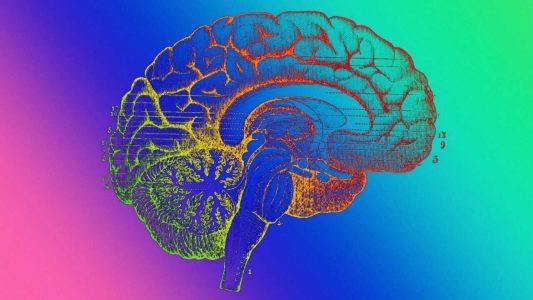 مصرف بیش از حد این ویتامین خطر زوال عقل را در پی دارد