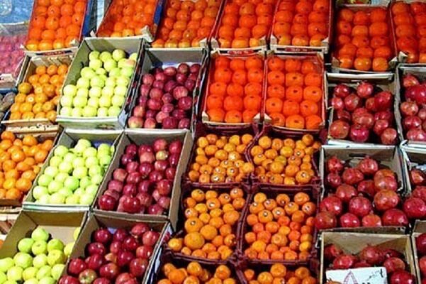 تدابیر مناسب برای ذخیره سازی میوه شب عید در استان زنجان انجام شده است - خبرگزاری کاماکس | اخبار ایران و جهان