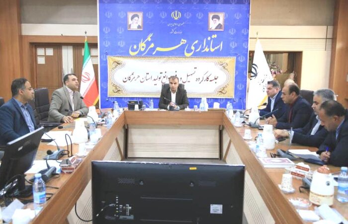 معاون استاندار: تنوع بخشی به سبد انرژی هرمزگان درحال انجام  است