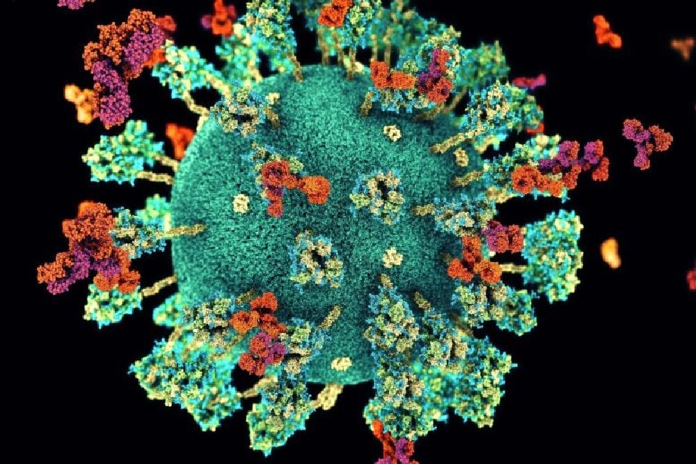 درمان بیماری «کووید مزمن» کشف شد