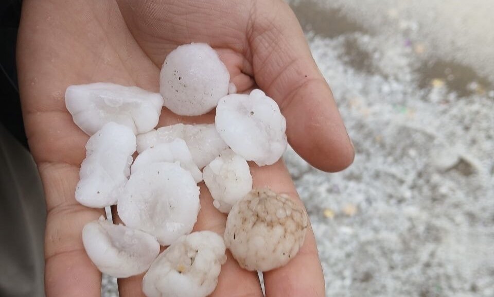 خسارت۱۳۵میلیارد تومانی به کشاورزی کرمانشاه در بارندگی،تگرگ وطوفان اخیر - خبرگزاری مهر | اخبار ایران و جهان