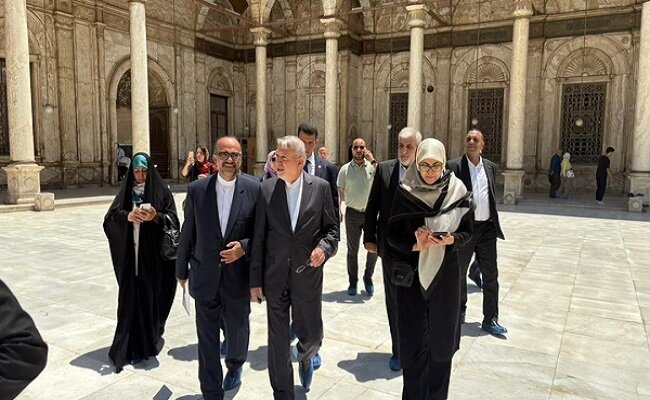 بازدید وزیر میراث‌فرهنگی از مسجد تاریخی محمدعلی - خبرگزاری مهر | اخبار ایران و جهان