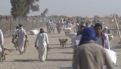 آغاز اجرای طرح ساماندهی تجارت مرزی مردم‌محور در سیستان و بلوچستان