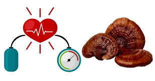 قهوه گانودرما و تأثیر آن بر فشار خون: نوشیدنی ای با خواص درمانی