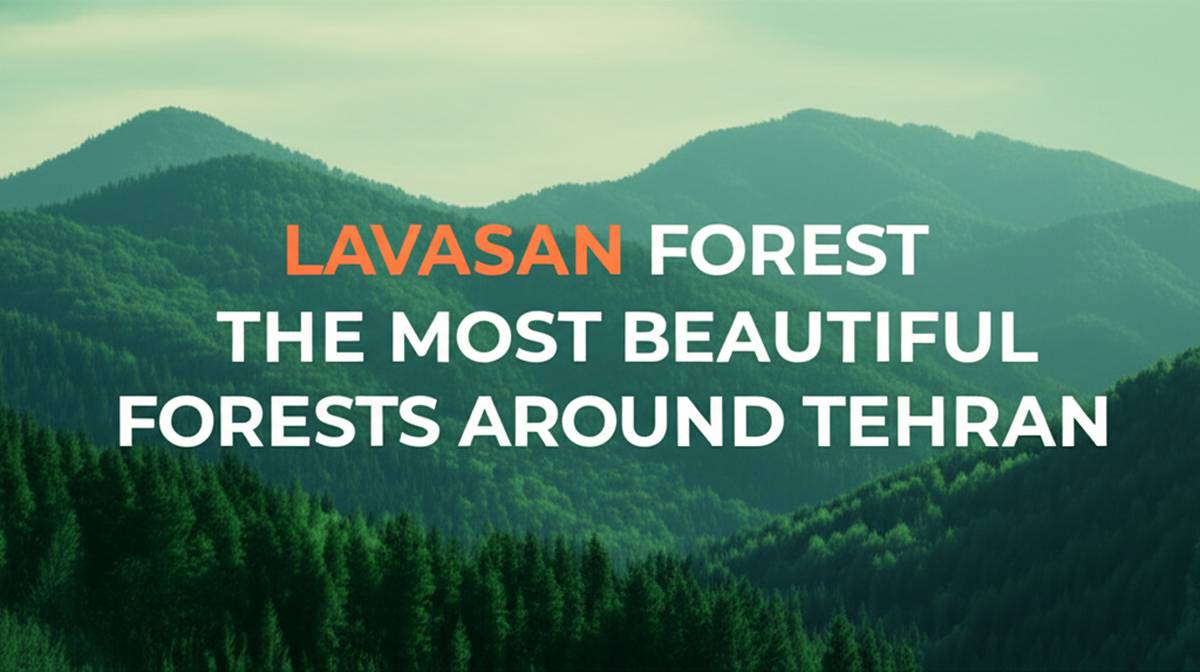 جنگل لواسان، از جمله زیباترین جنگل های اطراف تهران