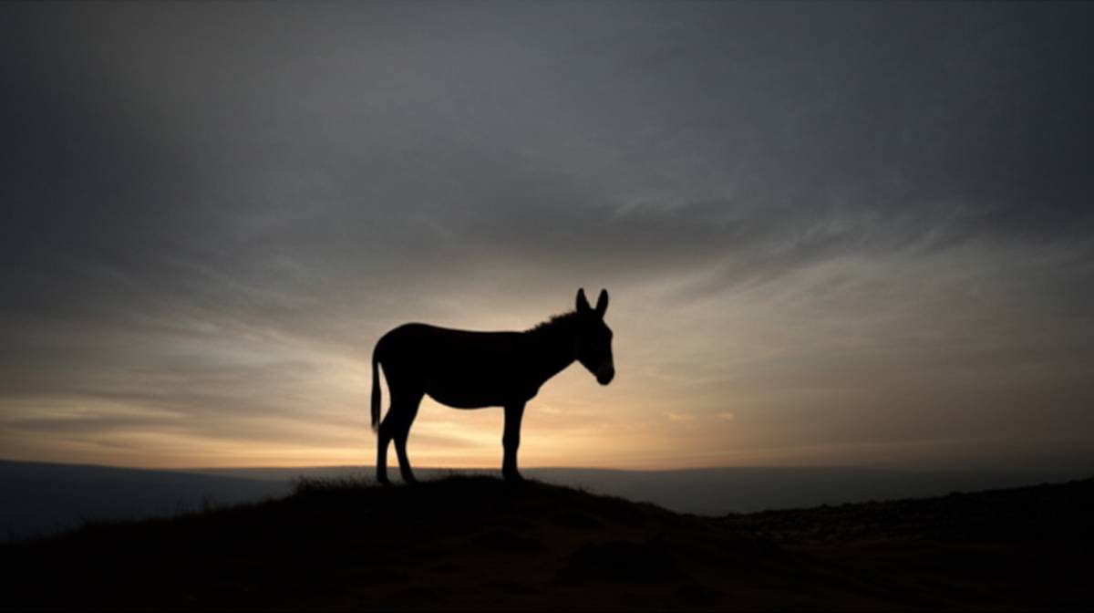 خلاصه کامل کتاب تراژدی خریت (علیرضا حسن زاده)