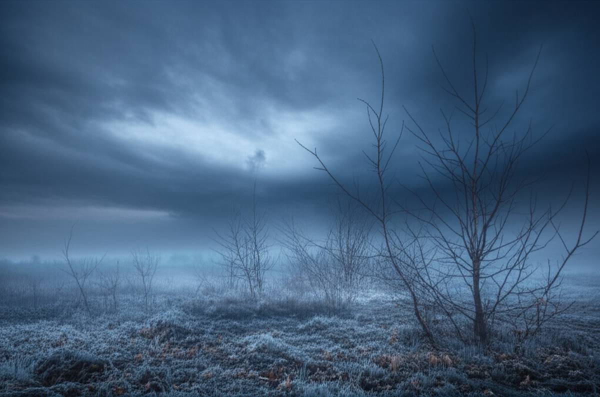 خلاصه کتاب آبی ها | منیرو روانی پور – نقد و بررسی کامل