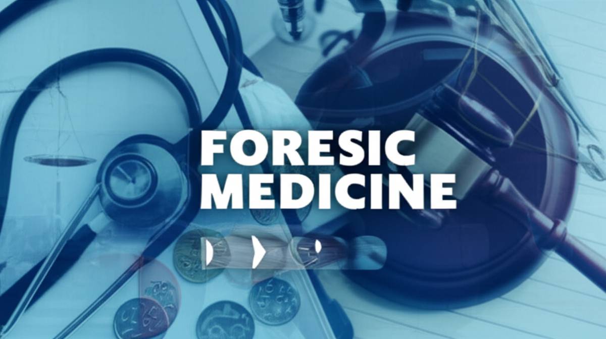 هزینه ارش پزشکی قانونی | تعرفه ها، عوامل و راهنمای جامع